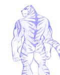  anthro butt feline looking_at_viewer maiofu male mammal monochrome muscular nude rear_view simple_background solo tiger white_background 