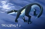  2016 4_toes 5_fingers :d ambiguous_gender ambulocetus black_skin blue_background cetacean countershade_face countershade_tail countershade_torso countershading digital_drawing_(artwork) digital_media_(artwork) digitigrade dipstick_tail english_text facial_markings fangs feral full-length_portrait long_mouth long_tail low-angle_view male mammal marine markings multicolored_skin multicolored_tail nude open_mouth portrait quadruped rear_view sea shiny simple_background solo swimming tacimur text toes water webbed_feet white_countershading white_skin yellow_eyes yellow_skin 