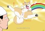  &lt;3 2017 anus blush canine dog female feral human lovely_muco mammal metalfox muco open_mouth presenting pussy shiba_inu tongue tongue_out 