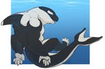  anthro cetacean connor_(explicital) explicital looking_at_viewer male mammal marine muscular nude orca smile swimming underwater water whale 