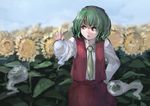  blurry cowboy_shot day depth_of_field faux_traditional_media field flower flower_field frown green_hair hand_on_hip hitodama holding ichiba_youichi kazami_yuuka looking_to_the_side necktie red_eyes short_hair sketch sky solo sunflower touhou vest 