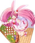  :d animal_ears bangs big_hair bow brick bunny_ears cake_hair_ornament choker cure_whip dress flower food food_themed_clothes food_themed_hair_ornament foreshortening frilled_dress frills from_above fruit full_body gloves hair_ornament hairband highres kirakira_precure_a_la_mode knees_together_feet_apart long_hair looking_at_viewer magical_girl no_socks open_mouth outstretched_arms outstretched_hand pink_bow pink_choker pink_eyes pink_footwear pink_hair pink_hairband plant precure puffy_short_sleeves puffy_sleeves reaching_out shoes short_sleeves skirt smile solo standing strawberry trellis twintails usami_ichika white_gloves white_skirt yuutarou_(fukiiincho) 