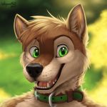  2017 bust_portrait canid canine canis collar dog green_eyes male mammal portrait solo wagnermutt 