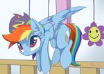  2016 cute cutie_mark equine feathered_wings feathers female feral friendship_is_magic hair mammal mistydash multicolored_hair multicolored_tail my_little_pony pegasus rainbow_dash_(mlp) rainbow_hair rainbow_tail solo source_request wings 