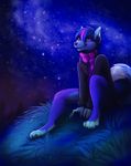  2015 anthro barefoot canine clothed clothing detailed_background digitigrade grass male mammal neotheta night outside putple_eyes scarf sitting sky smile solo star starry_sky wolf 
