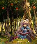  apple blonde_hair book flower food forest fruit gan_(shanimuni) hair_flower hair_ornament nature original pantyhose pink_legwear quill sitting solo striped striped_legwear tree twintails 