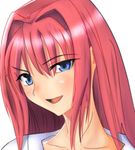  aozaki_aoko bad_anatomy bad_id bad_pixiv_id blue_eyes hair_intakes hijiri-taro long_hair red_hair solo tsukihime 