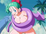  bulma_briefs dragon_ball tagme 