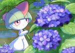  bowl_cut colored_skin commentary_request flower green_hair holding holding_umbrella leaf_umbrella monya no_humans outdoors pokemon pokemon_(creature) pokemon_focus puddle rain ralts red_eyes solo umbrella white_skin 