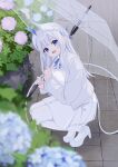  1girl :d absurdres blue_eyes blue_flower blurry blurry_foreground commentary_request day demon_girl demon_horns demon_tail depth_of_field flower grey_hair hashiko_nowoto high_heels highres holding holding_umbrella horns hydrangea jacket long_hair long_sleeves looking_at_viewer original outdoors pantyhose pleated_skirt pointy_ears purple_flower rain shirt shoes skirt smile solo squatting tail transparent transparent_umbrella umbrella very_long_hair white_jacket white_pantyhose white_shirt white_shoes white_skirt 