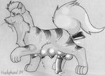  growlithe nintendo pokemon tagme 