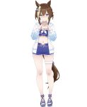  1girl absurdres animal_ears bikini blue_bikini blue_eyes blush braid breasts brown_hair brown_tail cheval_grand_(summer_calm_navy_drop)_(umamusume) cheval_grand_(umamusume) cleavage closed_mouth commentary_request full_body hair_between_eyes half_up_braid heart heart_hands highres horse_ears horse_girl horse_tail jacket large_breasts looking_at_viewer multicolored_hair nanasedayoxd navel official_alternate_costume official_alternate_hairstyle open_clothes open_jacket short_hair short_hair_with_long_locks sidelocks simple_background solo standing stomach streaked_hair swimsuit tail umamusume white_background white_jacket white_streaks 