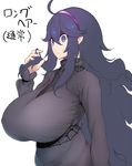  ahoge al_bhed_eyes breasts check_commentary commentary commentary_request dress hairband hex_maniac_(pokemon) highres huge_breasts kedamono_kangoku-tou long_hair messy_hair pokemon pokemon_(game) pokemon_xy purple_eyes purple_hair purple_hairband smile solo sweater translated 