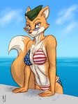  2017 anthro bedroom_eyes bikini breasts canine clothing eyewear female fox fur glasses half-closed_eyes hat heresy_(artist) lt._fox_vixen mammal multicolored_fur orange_fur outside patriotism politics sea seductive solo squirrel_and_hedgehog swimsuit two_tone_fur united_states_of_america water wet white_fur 