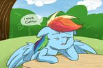  blue_feathers day equine eyes_closed feathered_wings feathers female feral friendship_is_magic hooves mammal my_little_pony nolycs outside pegasus rainbow_dash_(mlp) solo wings 