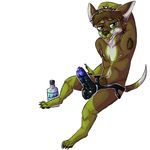  canine chihuahua dildo dog invalid_tag mammal nipples sex_toy solo strapon 