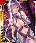  1girl amadare_natsume breasts card_(medium) female sano_toshihide taimanin_asagi_battle_arena taimanin_asagi_battle_arena_all_card_gallery yellow_eyes 