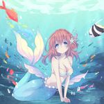  air_bubble bad_id bad_pixiv_id blue_eyes breasts brown_hair bubble cinopain cleavage coral_hair_ornament fish hair_ornament highres looking_at_viewer medium_breasts mermaid midriff monster_girl shell shell_bikini smile solo star star_hair_ornament submerged underwater 