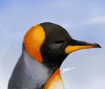  2017 ambiguous_gender avian beak bird bust_portrait feral king_penguin panzery25 penguin portrait side_view signature solo 