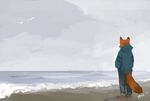  2017 ambiguous_gender anthro avian barefoot beach bird canine clothed clothing fox hoodie mammal outside overcast panzery25 rear_view sand sea seagull seaside signature sky solo standing water 