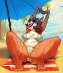  2017 4_toes arms_above_head bikini breasts brown_fur brown_hair butt bypbap camel_toe canine chest_tuft clothing collaboration corgi countershading detailed_background dog eyes_closed eyewear fangs female fur hair long_tongue mammal miofofio navel nipple_bulge open_mouth outside palms rayna_(monstercatpbb) reclining sand seaside short_hair sitting solo spread_legs spreading stretching sunglasses swimsuit tan_fur toes tongue tongue_out tuft wet 