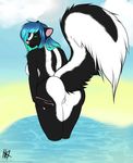  2016 5_fingers anthro beach bent_over big_tail biped black_fur black_lips black_tail blaze_(marking) blue_hair blue_sky butt claws cloud cyiakanami day digital_media_(artwork) female fur gradient_hair green_eyes hair hi_res lips long_hair long_tail looking_at_viewer looking_back mammal mavourneen multicolored_fur multicolored_tail nude partially_submerged pink_nose presenting presenting_hindquarters pussy rear_view sea seaside signature skunk sky snout solo two_tone_fur two_tone_tail url water white_fur white_tail 