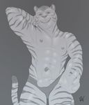  animal_genitalia anthro balls clothing feline greyscale looking_at_viewer male mammal monochrome mostly_nude muscular nipples rov sheath smile solo tiger underwear 