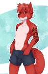  2017 anthro bulge burnwolf canine clothing cookiedraggy digital_media_(artwork) fur hair looking_at_viewer male mammal nipples shorts simple_background smile solo underwear wolf 