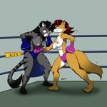  anthro belly boxing boxing_gloves breasts canine cat clothed clothing drawing-4ever duo feline female female/female fox fur hair interspecies mammal motion_lines nipples punch red_hair sport text topless wendel2 