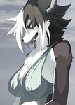  2017 anthro big_breasts black_nose bra breasts canine cel_shading chest_tuft clothed clothing digital_drawing_(artwork) digital_media_(artwork) female fur hair half-length_portrait inner_ear_fluff makeup mammal mascara messy_hair multicolored_fur open_mouth outside portrait red_eyes simple_background solo sports_bra taracod tongue tongue_out tuft two_tone_fur underwear 