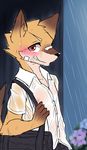  band-aid bandage black_nose blush brown_fur canine fox fur grin male mammal manadezimon navel nipples orange_fur raining red_eyes smile solo standing teenager wet wet_clothing young 