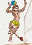 2019 anthro athletic athletic_anthro athletic_male blue_eyes bottomwear brown_body brown_fur brown_hair brown_nose bulge clothed clothing dated fangs felid front_view fur green_bottomwear green_clothing hair hi_res hufnaar jewelry jumping lion male male_anthro mammal navel necklace open_mouth open_smile pantherine short_hair smile solo sport tan_body tan_fur teeth topless traditional_media_(artwork) volleyball whiskers