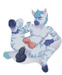 absurd_res andromorph anthro crotch_breasts dildo dildo_in_vagina dildo_insertion dildo_sitting equid equine frank22young hi_res hooves intersex lying male mammal on_back on_ground penetration raised_leg sex_toy sex_toy_in_vagina sex_toy_insertion solo spread_legs spreading vaginal vaginal_penetration zebra