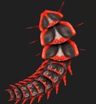 2026 3d_(artwork) 6_limbs ambiguous_gender arthropod autodesk_3ds_max_(artwork) beetle deino_(artist) digital_media_(artwork) exoskeleton female_(lore) feral full-length_portrait grey_background grey_body insect markings multi_limb platerodrilus portrait red_body segmented_body simple_background solo spots spotted_body trilobite_beetle