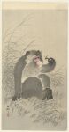 20th_century 5_fingers 5_toes absurd_res ambiguous_feral ambiguous_gender ancient_art arm_support arthropod back_wings cjk_character feet feral fingers fur grass haplorhine hi_res holding_another humanoid_hands insect insect_wings looking_at_another mammal monkey nipples ohara_koson plant primate public_domain restrained simple_background sitting solo solo_focus toes traditional_media_(artwork) wings