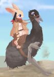 2023 3_toes absurd_res ambiguous_gender anthro avian beak belt bird black_body blue_eyes blush bottomless brown_clothing claws clothed clothing day digital_media_(artwork) duo emu feathers feet feral fur fusau gloves grey_beak gun handgun handwear hi_res holding_object kerchief lagomorph leporid mammal neckerchief neckwear open_mouth orange_eyes outside pistol rabbit ranged_weapon ratite reins size_difference sky tail tan_body tan_clothing tan_fur toes topwear weapon whiskers