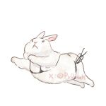 1:1 2026 arm_tuft artist_name back_tuft belly_tuft bikini black_bikini black_clothing black_eyes black_swimwear clothed clothed_female clothed_feral clothing digital_drawing_(artwork) digital_media_(artwork) empty_eyes female feral fluffy fur fur_tuft lagomorph leporid light_body light_fur looking_forward mammal micro_bikini midair monotone_background monotone_body monotone_fur mouth_closed neck_tuft pink_inner_ear pink_nose py0wwk rabbit side-tie_bikini side-tie_clothing side-tie_swimwear simple_background simple_eyes solo string_bikini swimwear text three-quarter_view tuft two-piece_swimsuit white_background white_body white_ears white_fur