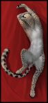 2016 animal_genitalia animal_vulva anus arms_above_head belly cheetah claws cosmiclife felid feline feline_genitalia feline_vulva female female_feral feral fur genitals hi_res looking_at_viewer lying mammal markings nude on_back semi-anthro solo spots spotted_body spotted_fur stretching tail tail_anus toe_claws vulva