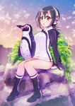  :o bird black_hair blush boots boulder breasts brown_eyes cloud full_body grape-kun headphones highres humboldt_penguin humboldt_penguin_(kemono_friends) jacket kemono_friends medium_breasts multicolored_hair neme open_mouth penguin pink_hair short_hair sitting sky streaked_hair 