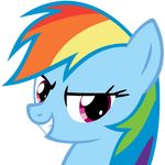  equine female feral friendship_is_magic grin hair looking_at_viewer mammal multicolored_hair my_little_pony pegasus rainbow_dash_(mlp) rainbow_hair smile teeth the-smiling-pony wings 