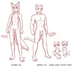  anthro aogami baby balls canine cub erection feline flaccid fox humanoid_penis male mammal panther penis young 