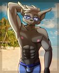  2017 abs anthro beach blue_eyes bulge canine clothed clothing eyewear facing_viewer glasses hand_behind_head hi_res invalid_tag male mammal muscular pinup portrait pose seaside smile species_wolf standing topless vrabo wolf 