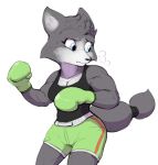  boxing_gloves canine clothing crossgender embarrassed fox fur grey_fur implied_transformation invalid_tag little_mac mammal nintendo punch_out!! shirt shorts subakitsu tank_top video_games 