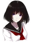  bangs black_hair black_sailor_collar breasts caidychen closed_mouth highres looking_at_viewer medium_breasts neckerchief original purple_eyes red_neckwear sailor_collar school_uniform serafuku shirt short_hair simple_background solo upper_body white_background white_shirt 