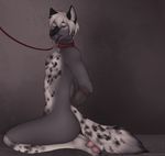 2017 anthro bdsm black_nose bound canine collar digital_media_(artwork) drooling fenn.perrox fur green_eyes grey_fur hair kneeling leash looking_at_viewer male mammal nude one_eye_closed open_mouth pawpads paws rope saliva simple_background slave solo spots spotted_fur teeth tongue tongue_out white_fur white_hair wink wolf 