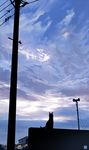  day dog highres house no_humans original outdoors power_lines scenery silhouette sky yuushoku 