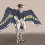  2013 4_toes 5_fingers ali_(sanmer) anthro athletic avian beak biped bird black_claws blindwatchman blue_eyes claws countershade_face countershade_torso countershading crest digital_drawing_(artwork) digital_media_(artwork) digitigrade feathered_wings feathers featureless_crotch front_view full-length_portrait gloves_(marking) grey_background grey_countershading grey_feathers grey_skin grey_stripes hand_on_hip hand_on_leg hand_on_thigh hornbill humanoid_hands looking_away male markings multicolored_feathers nude portrait reverse_countershading rhinoceros_hornbill simple_background smile socks_(marking) solo spread_wings standing striped_tail striped_wings stripes tail_feathers talons toes white_countershading white_feathers white_stripes wings yellow_beak yellow_feathers yellow_stripes 