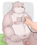  bear blush doctor flaccid jambavan male mammal nipples penis piefact sitting slightly_chubby stethoscope tokyo_afterschool_summoners 