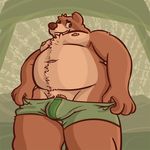  2017 anthro barely_visible_genitalia bear belly big_belly body_hair brown_fur brown_nose bulge chest_hair chest_tuft clothed clothing digital_media_(artwork) front_view fur green_clothing green_eyes half-erect happy_trail hi_res humanoid_penis lint_(pocketfuzz) low-angle_view male mammal moobs mostly_nude multicolored_fur navel nipples overweight overweight_male partially_clothed penis perspective pubes short_fur smile snout solo standing tan_fur thick_thighs topless tuft two_tone_fur underwear undressing worm&#039;s-eye_view 