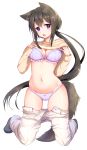  1girl :o absurdres animal_ear_fluff animal_ears bangs black_hair black_legwear blue_eyes bow bow_panties bra breasts brown_sweater cleavage clothes_lift commentary_request eyebrows_visible_through_hair fang floating_hair frilled_bra frills full_body groin hands_up highres kneeling long_hair long_sleeves looking_at_viewer low_ponytail medium_breasts navel open_fly open_mouth original panties pants pants_pull purple_bra purple_panties ribbed_sweater sidelocks simple_background sleeves_past_wrists socks solo stomach sweater sweater_lift tail thighs umishima_rinta underwear very_long_hair white_background white_pants wolf_ears wolf_girl wolf_tail 